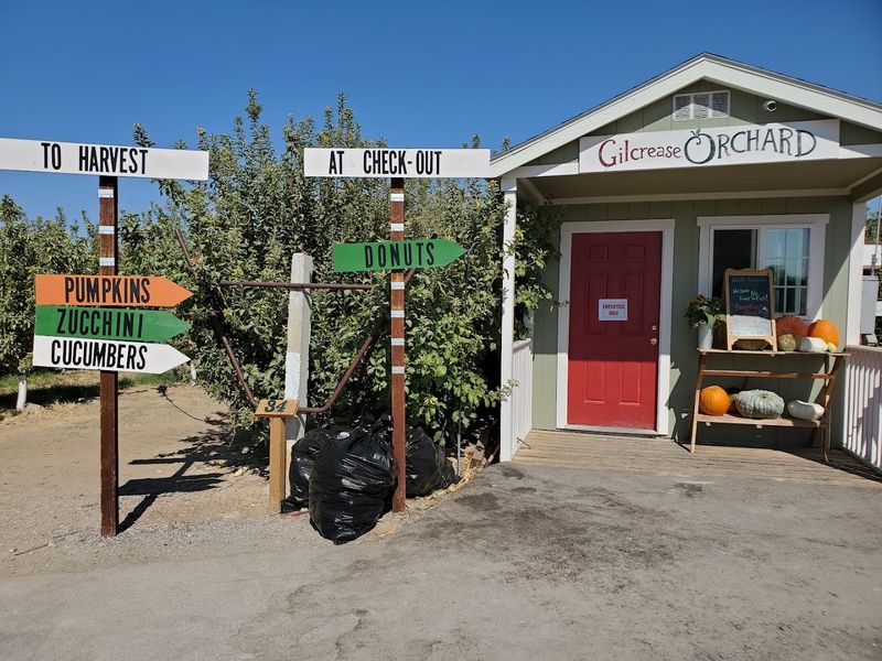 Why This Orchard Has Become A Las Vegas Tradition
