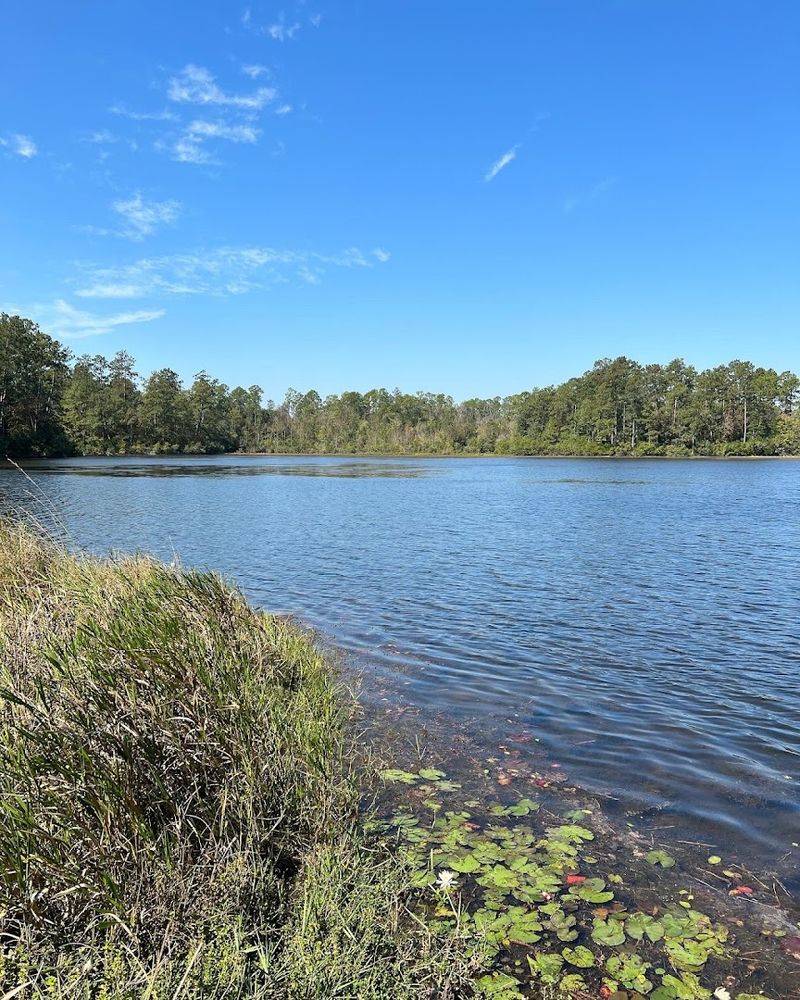 Environmental Features And Preservation Efforts