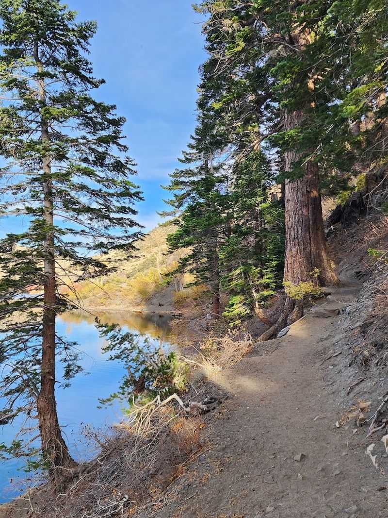 Nearby Trails Offering Stunning Perspectives