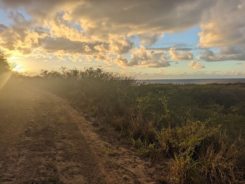 Photography Opportunities On The Trail