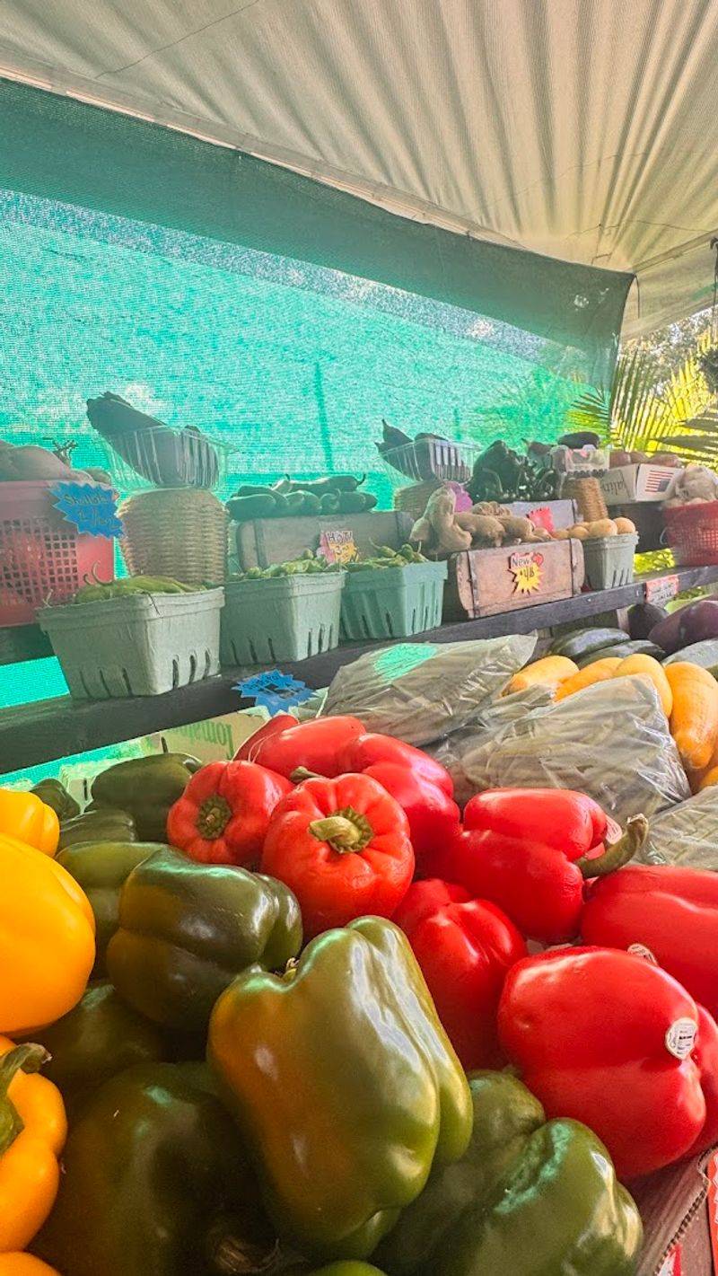 Health Benefits Of Eating Fresh Tomatoes