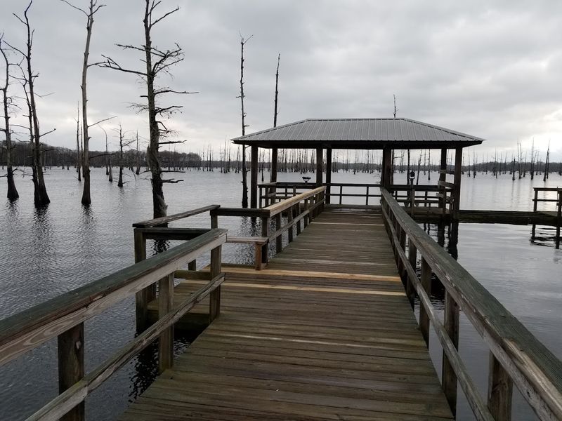 Black Bayou Lake National Wildlife Refuge
