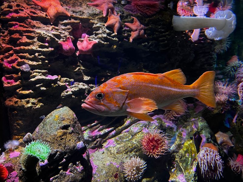 Fascinating Exhibit Galleries