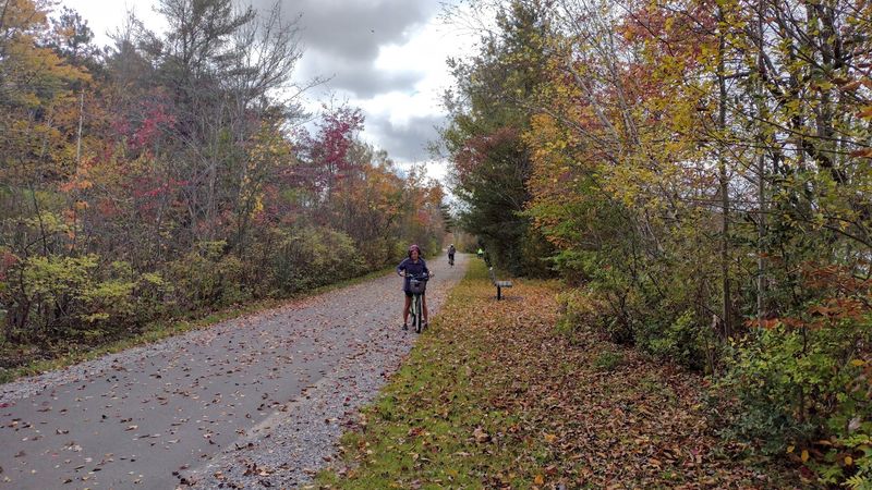 Accessible Pathways For All Explorers