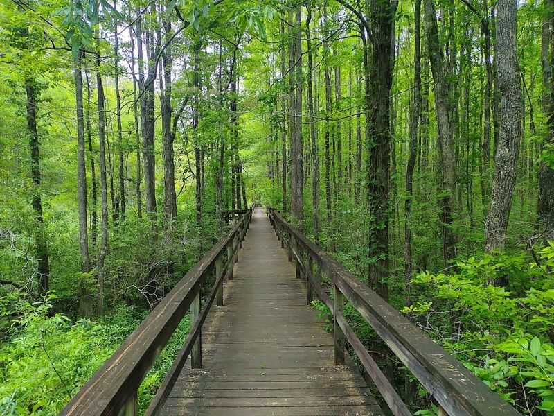 Percy Quin State Park