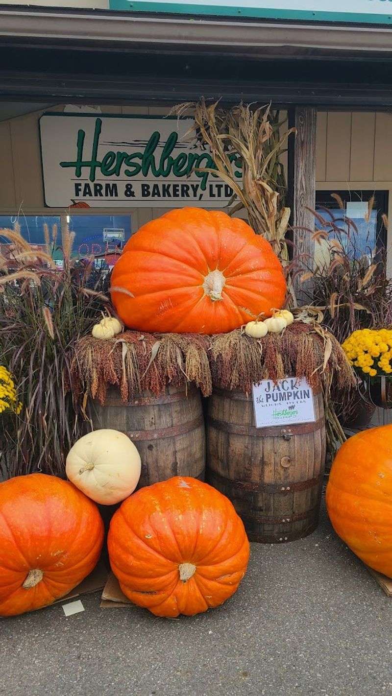 Seasonal Specialties Limited Edition Products