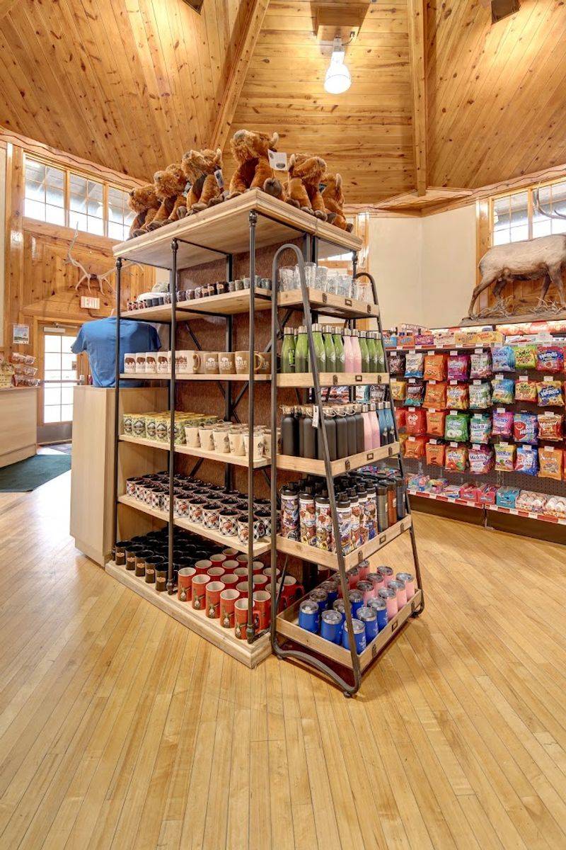 Architecture And Design Of Historic Stores