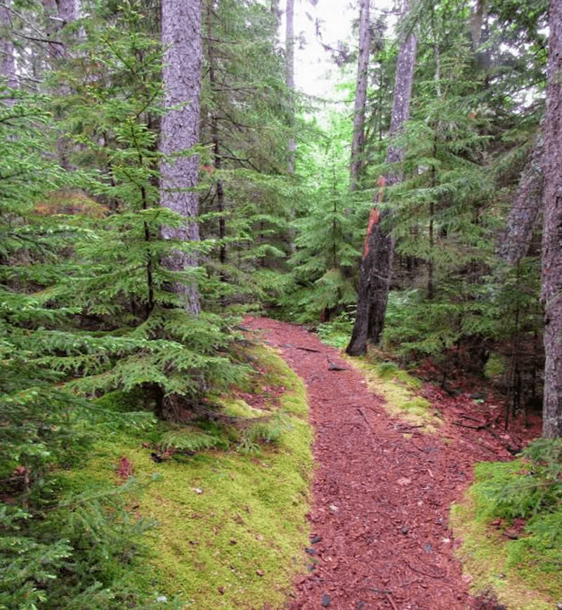 A Wild Island Landscape Protected For Future Generations