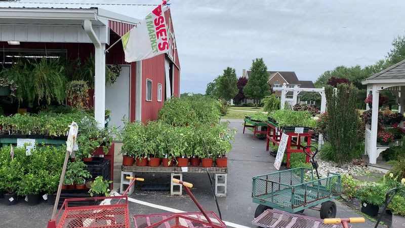 Sustainable Farming Practices And Soil Care