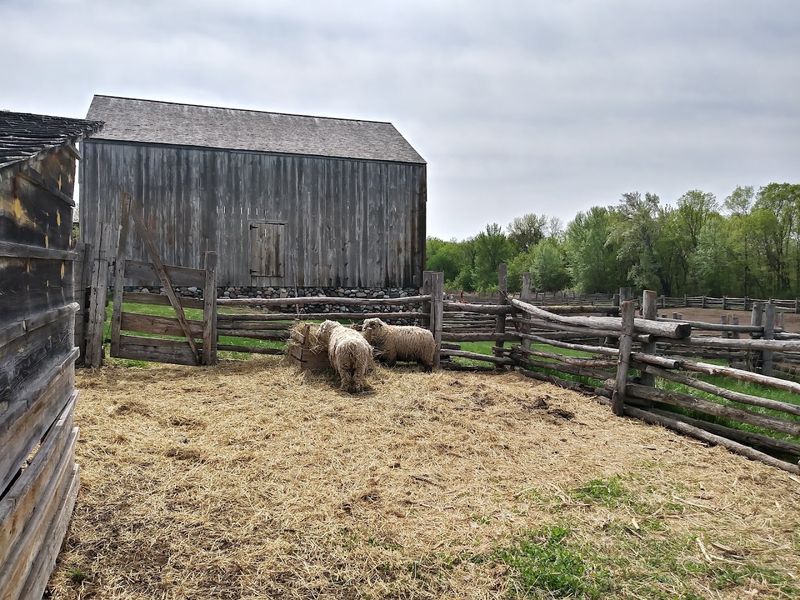 Agricultural Tools And Equipment Evolution
