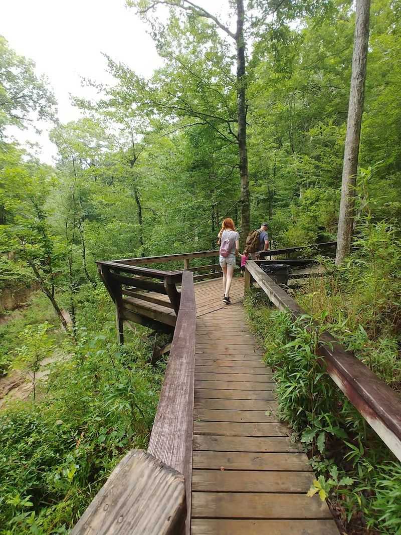Seasonal Changes Impact On Trail Experience