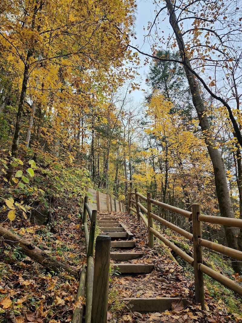 Best Seasons For Experiencing The Waterfall