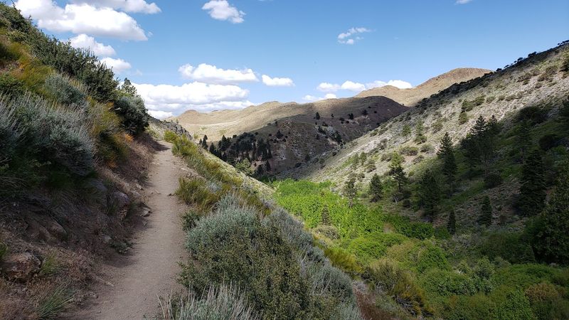 Why This Trail Keeps Drawing People Back