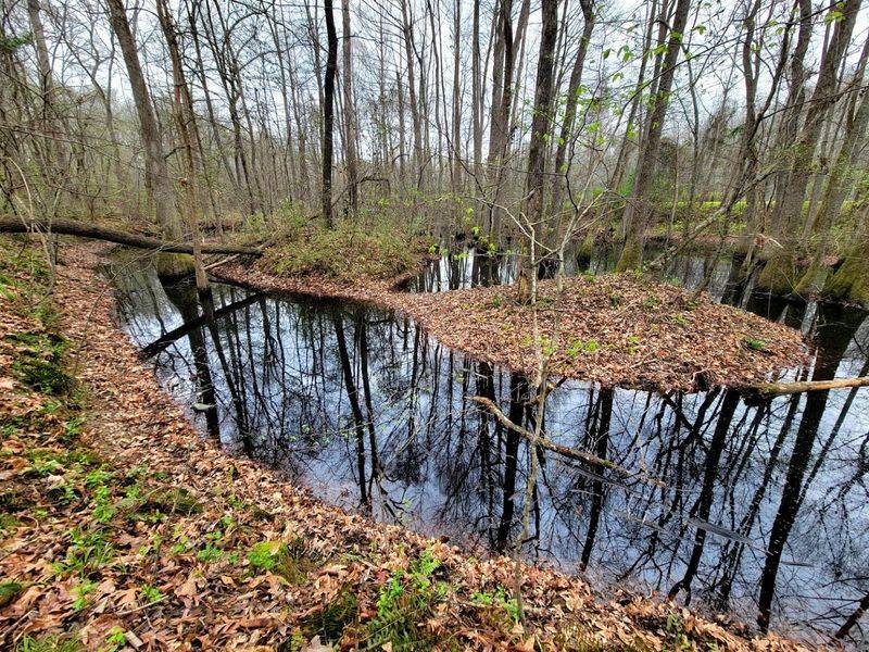 Seasonal Changes And Their Impact On Wildlife