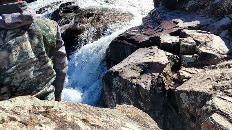 Photography Techniques For Capturing Waterfalls And Wildflowers