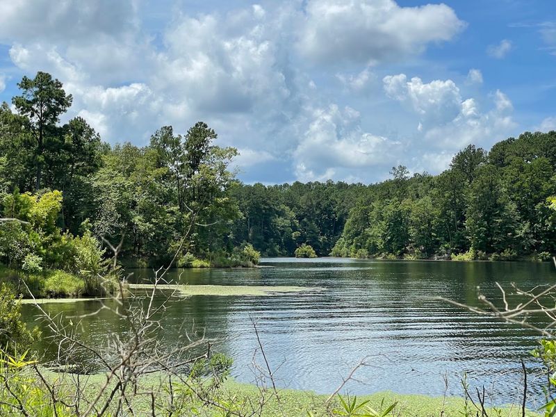 Okhissa Lake: Big Water In A Quiet Forest