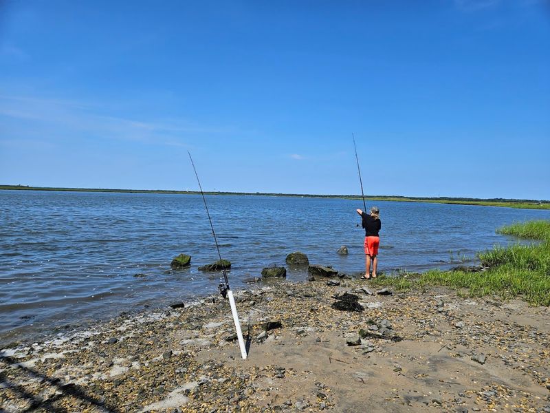 Fishing Fans, This One's For You
