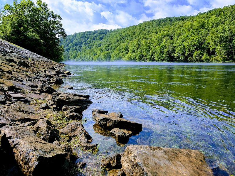 Wildlife Watching Along a Protected Shoreline