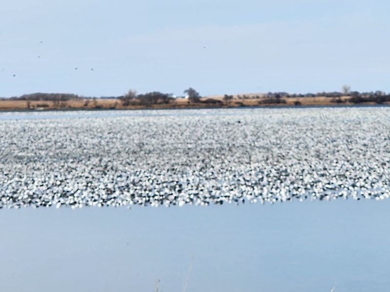 Tewaukon National Wildlife Refuge