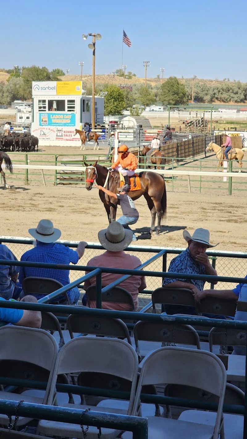 Thundering Hooves And The Thrill Of Live Racing