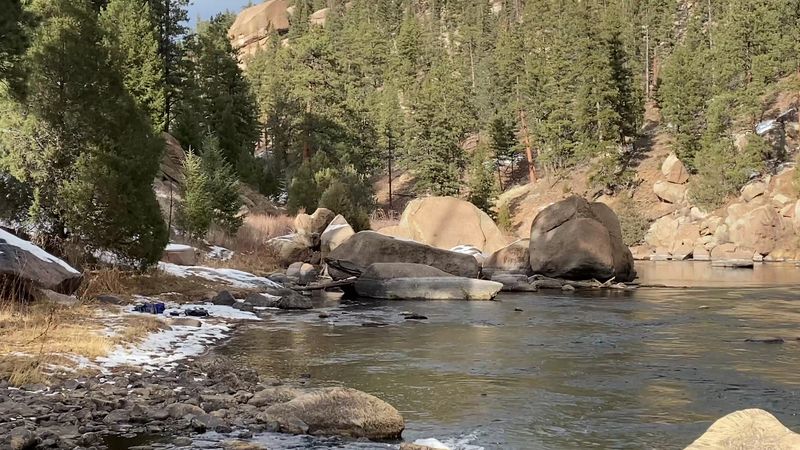 Seasonal Conditions Affecting Trout