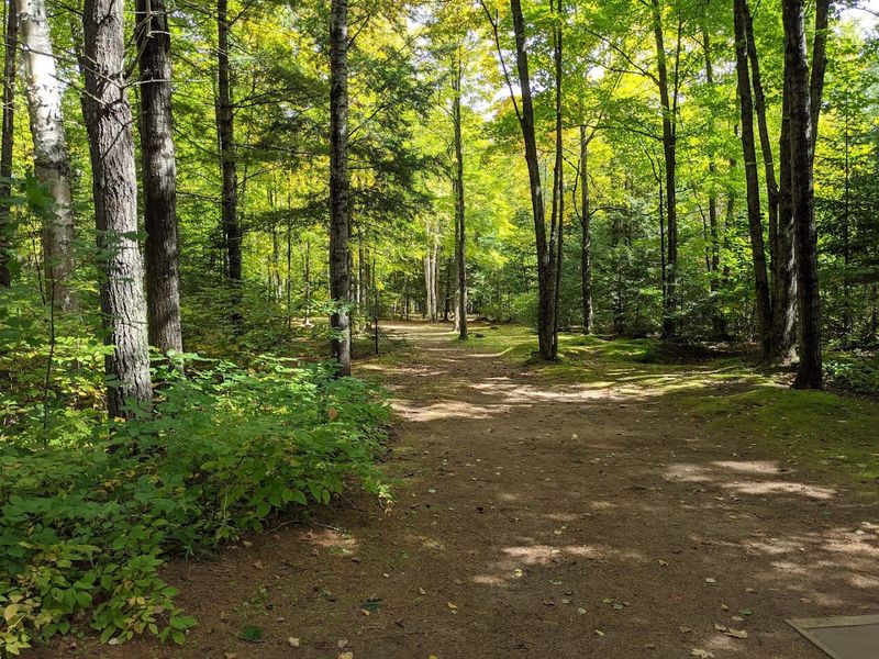 The Wooded Course Stretches Across 27 To 29 Challenging Holes