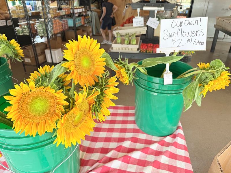 The Role Of Local Vendors In Creating Community
