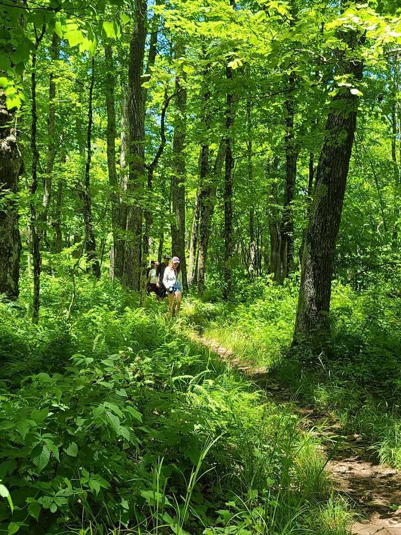 Hiking Trails Accessible From The Drive