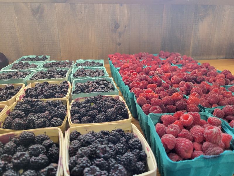 Ingredients Sourced From Local Ohio Farms
