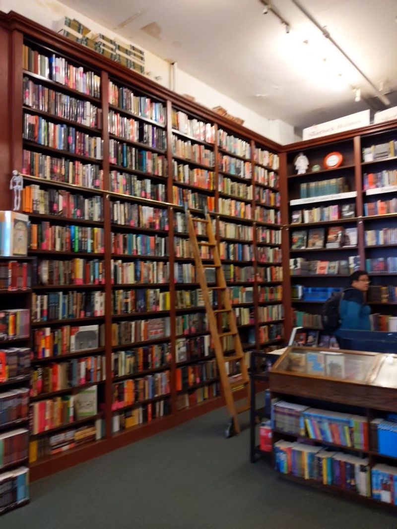 The Mysterious Bookshop