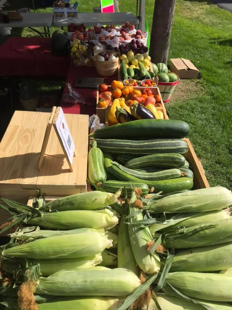 Fresh Local Produce Worth Exploring