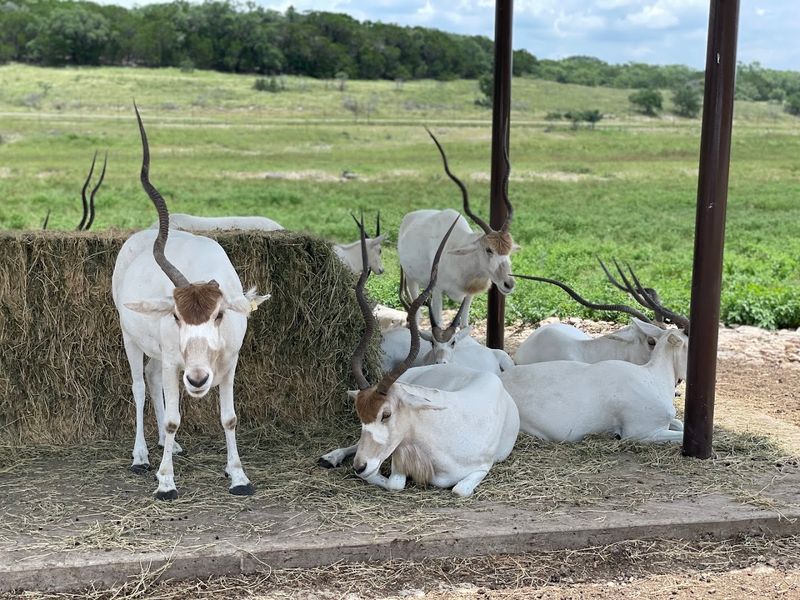 Conservation That Goes Far Beyond The Gates