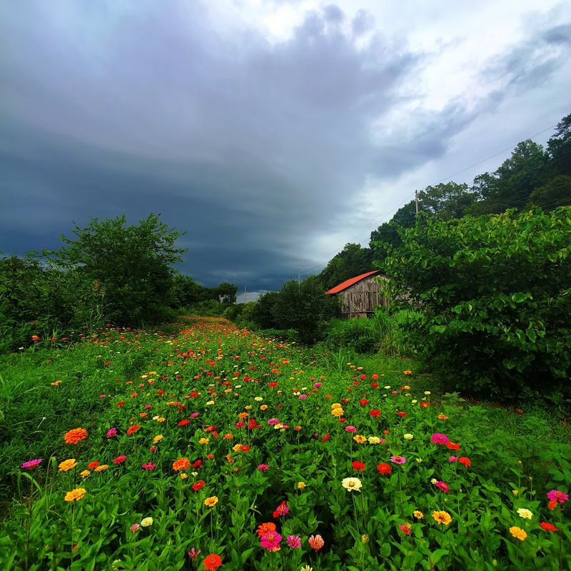 Seven Islands State Birding Park, Kodak, Tennessee