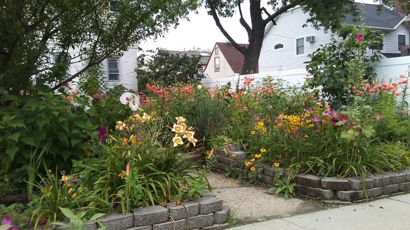 81st Avenue And 257th Street, Glen Oaks, Queens