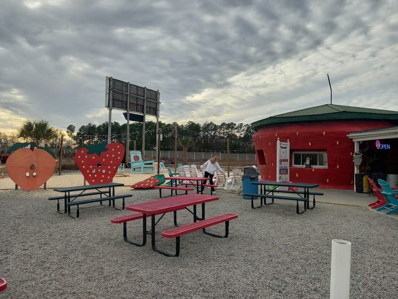 Family Activities And Kid Friendly Attractions
