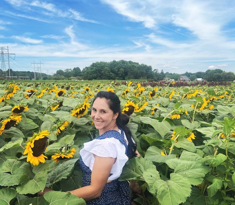 Ward's Berry Farm