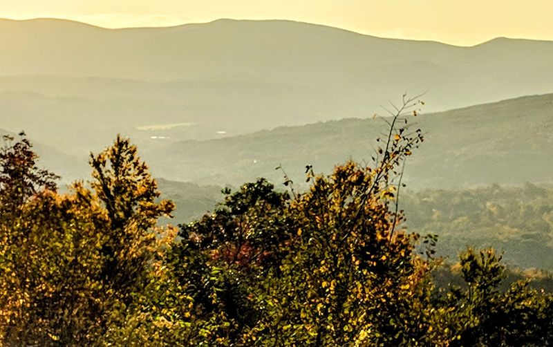 Fall Foliage At Its Peak