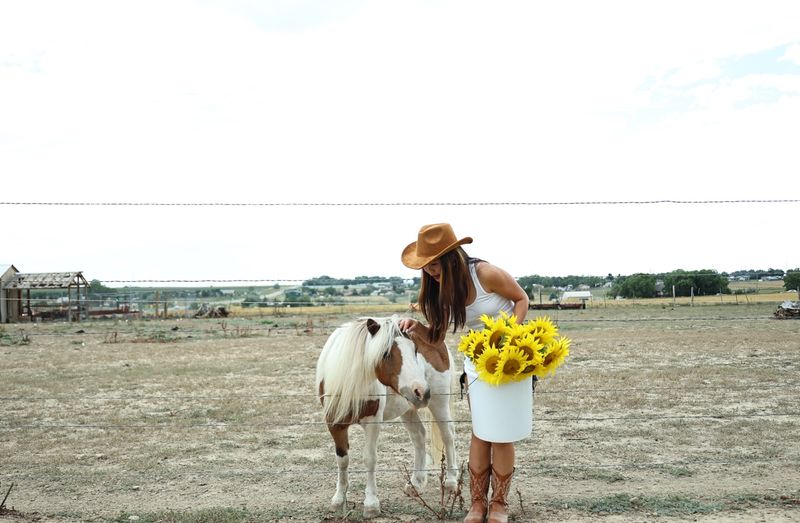 Professional Photographers Can Reserve Sessions Among The Sunflowers