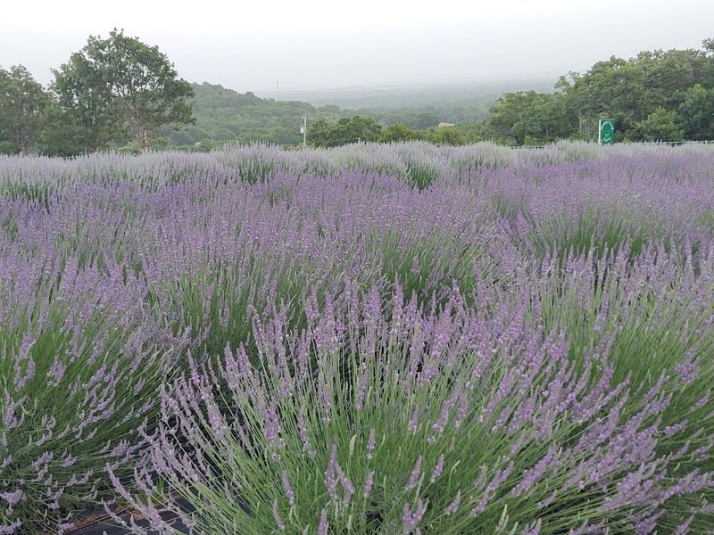 A Farm Experience That Belongs On Your List