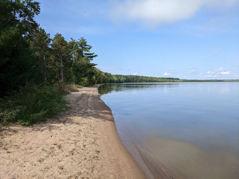 Chippewa National Forest