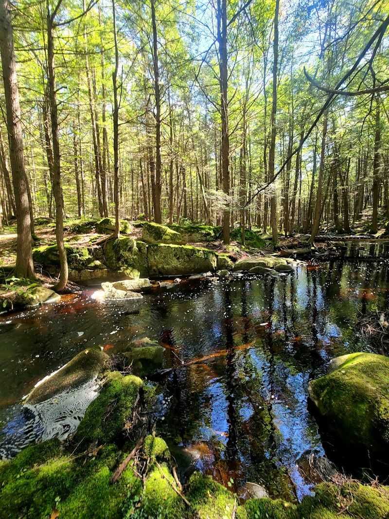 Royalston Falls, Royalston, MA