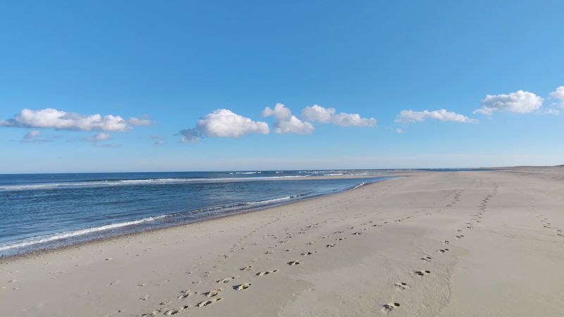Spend A Beach Day On Cape Cod National Seashore