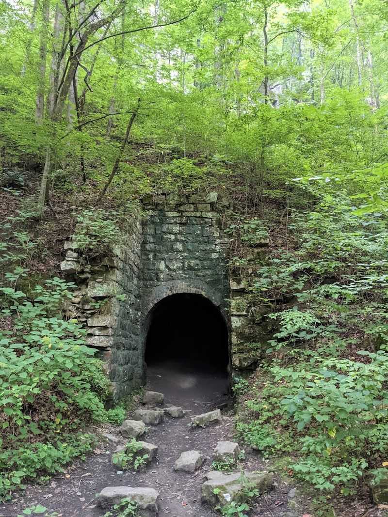 A Wilderness Preserved, A Story Retained
