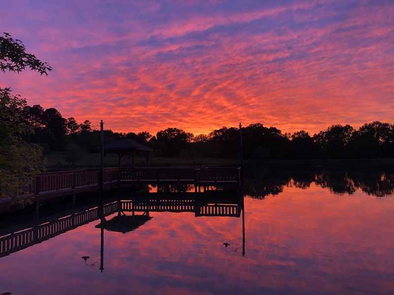 Sardis Lake