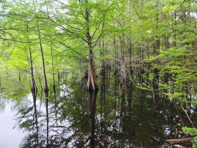 Noxubee National Wildlife Refuge