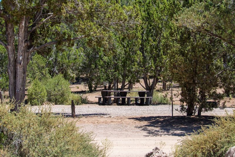 The CCC Legacy Hidden In Plain Sight