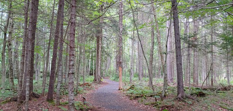 Trails That Actually Deliver