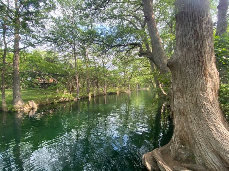 Flora And Fauna Surrounding Swimming Areas