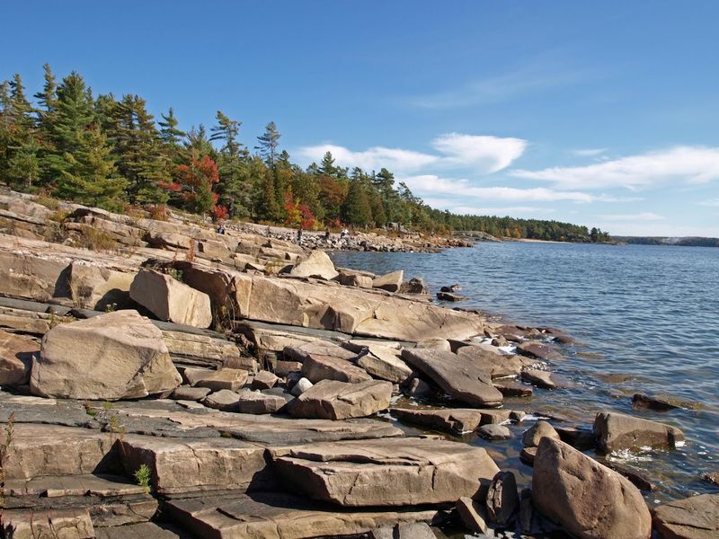 Rocks Worth Searching For