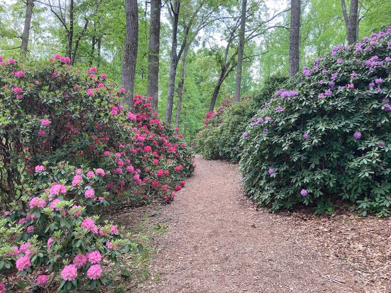 Hamilton Gardens Botanical Beauty
